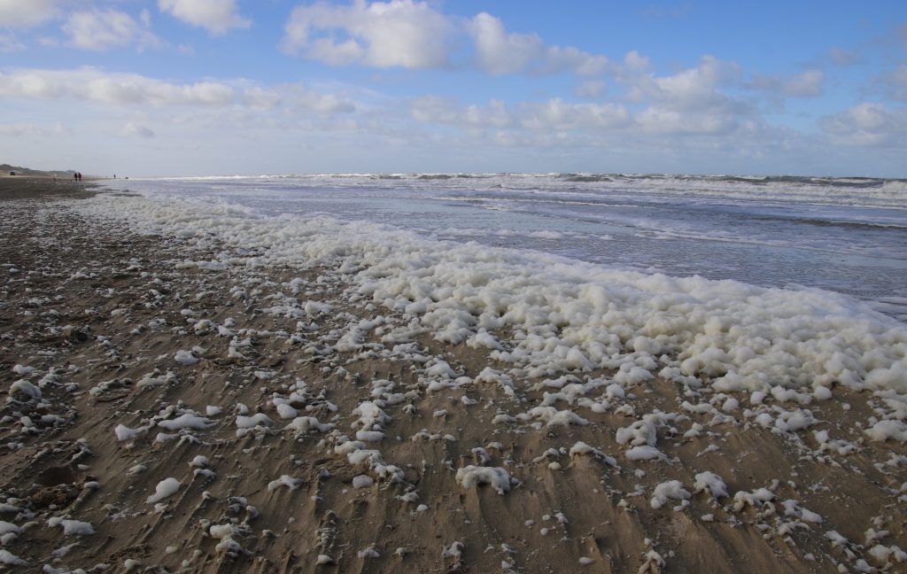 Wat vraag: hoe schuim op strand?