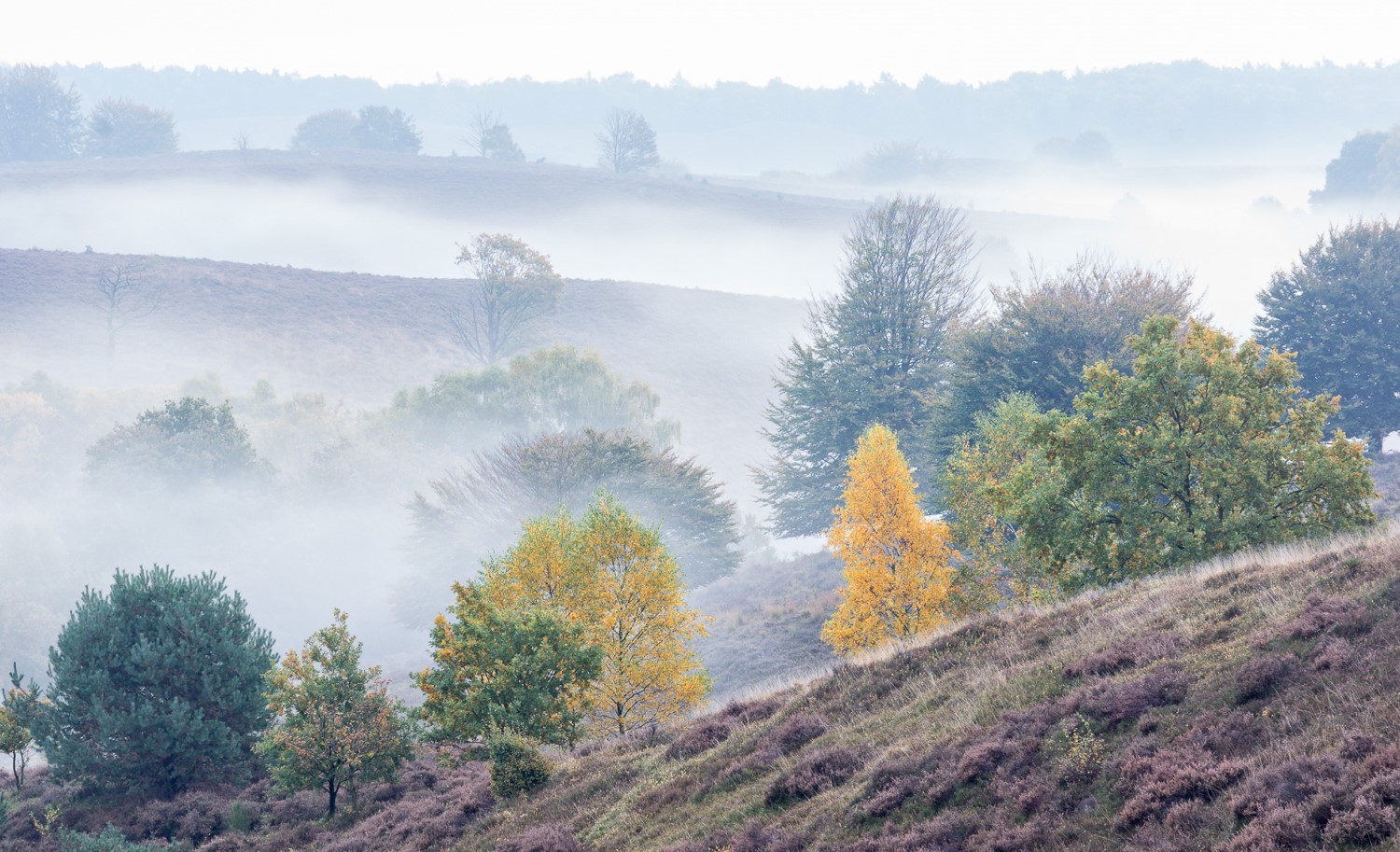 mist fotograferen