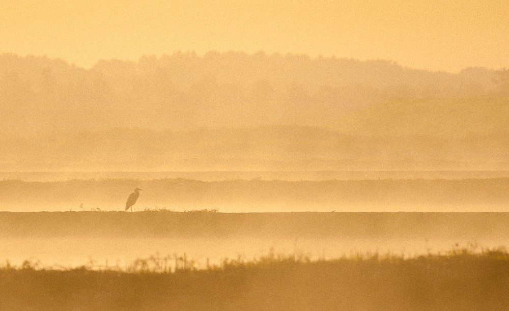 mist fotograferen