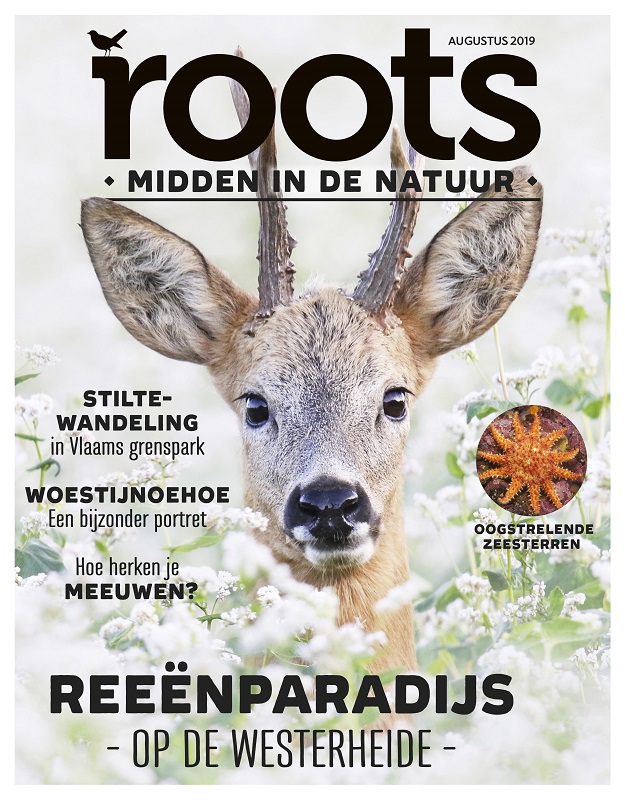 Roots van augustus 2019