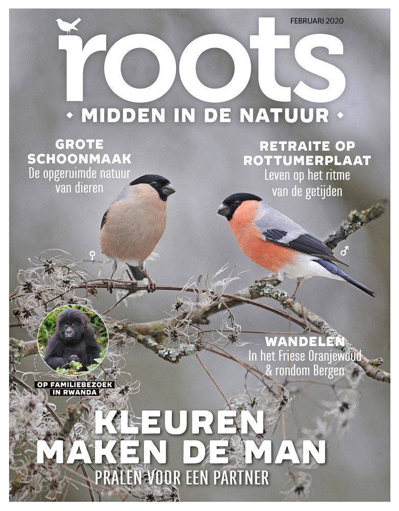 Roots februari 2020