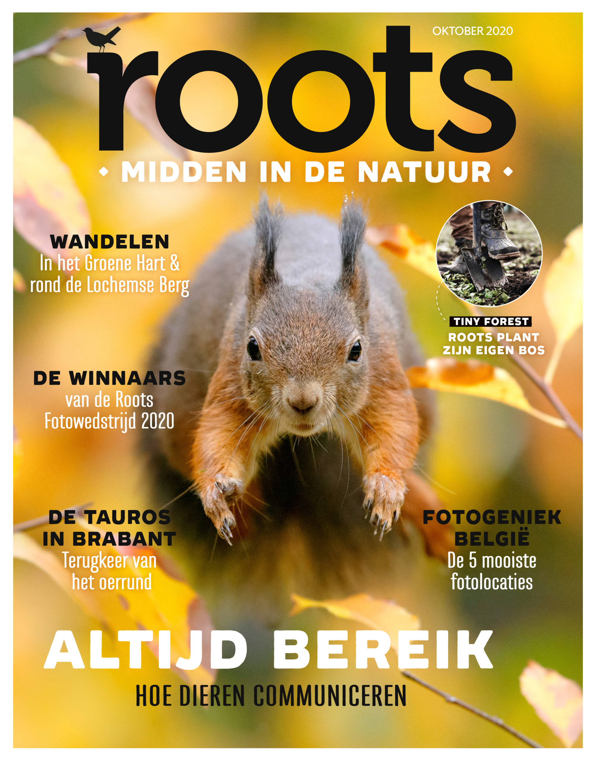 roots oktobernummer
