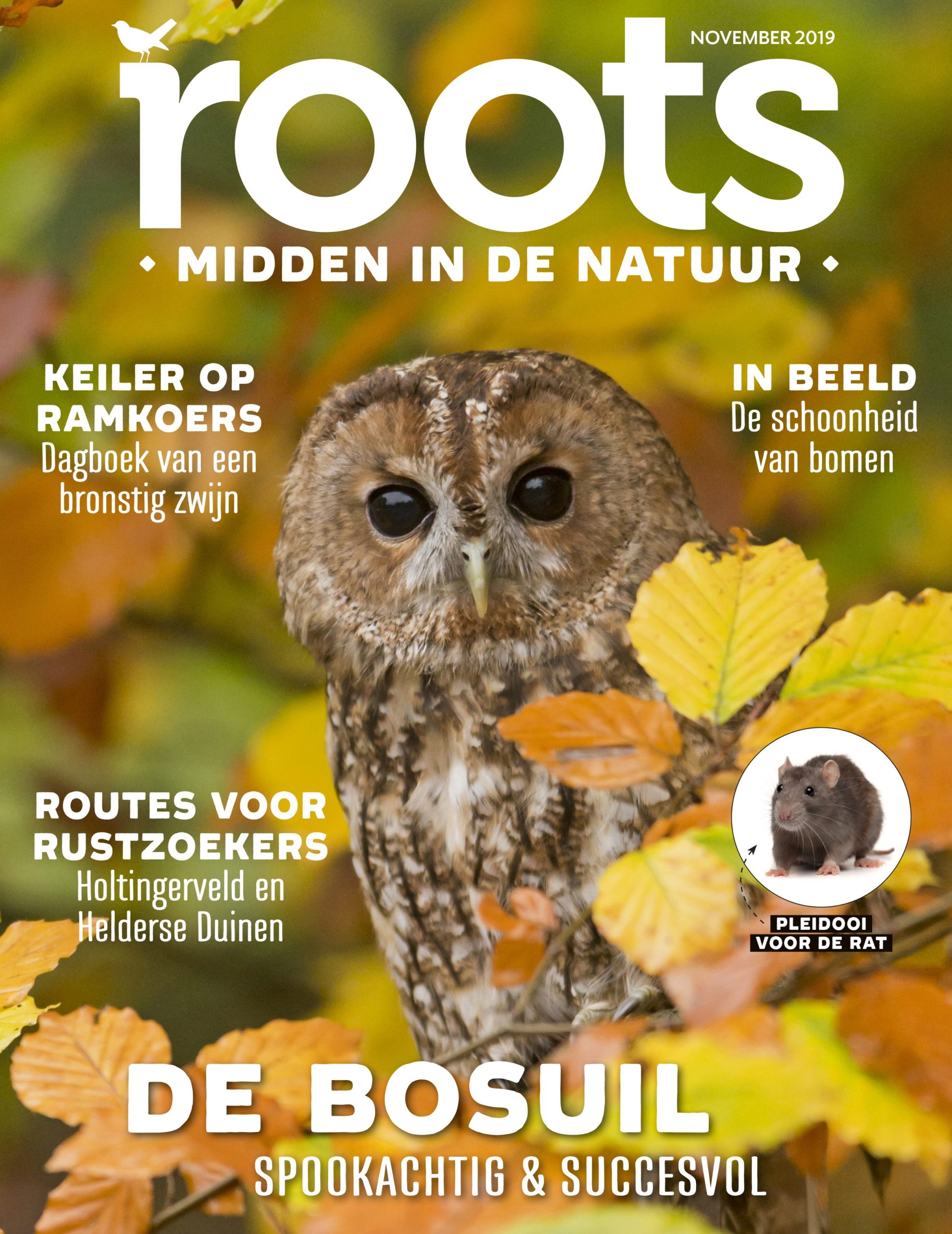 Roots van november 2019