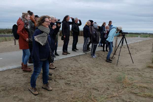 Bijzondere flamingo op Texel