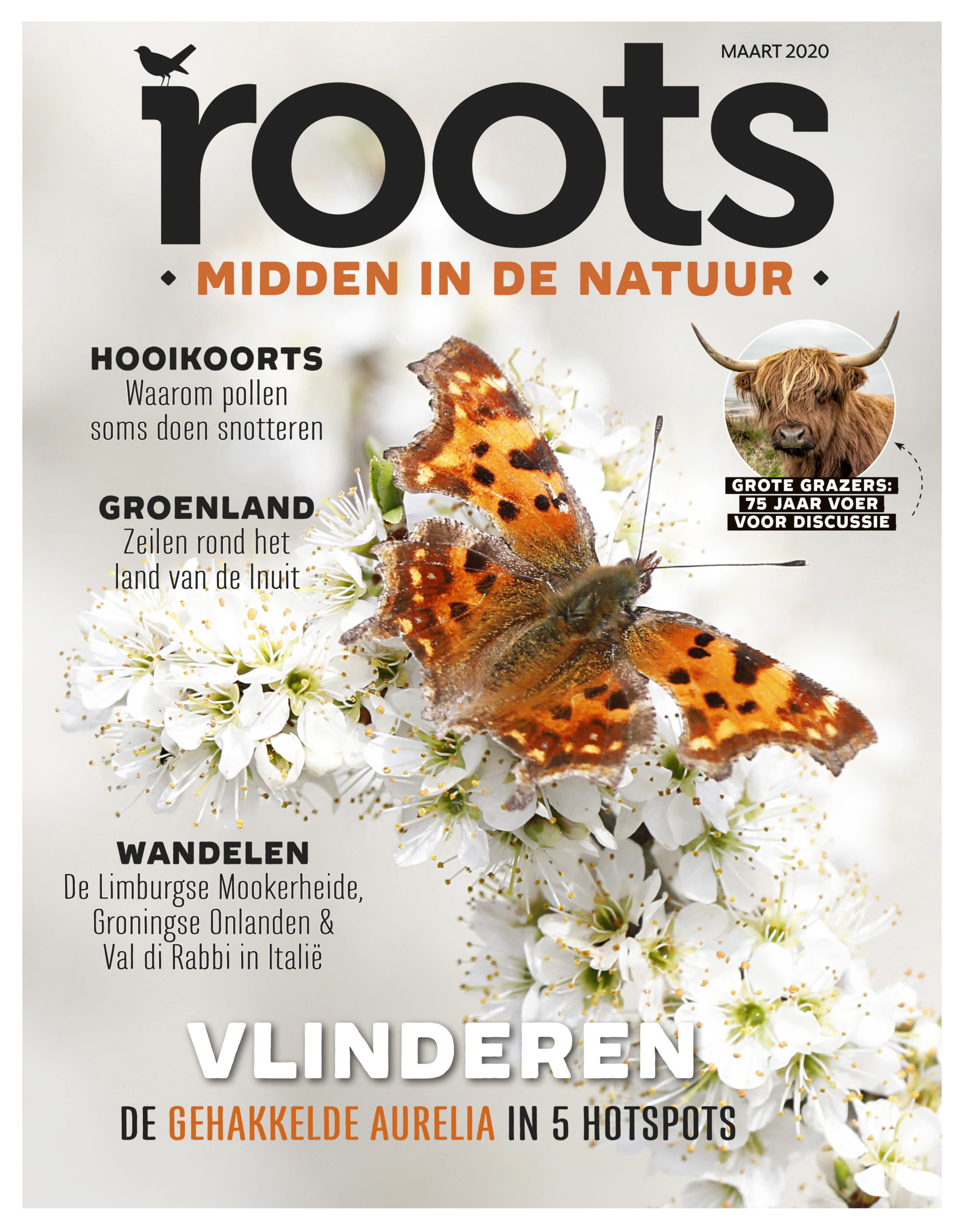 Nieuwe roots maart 2020