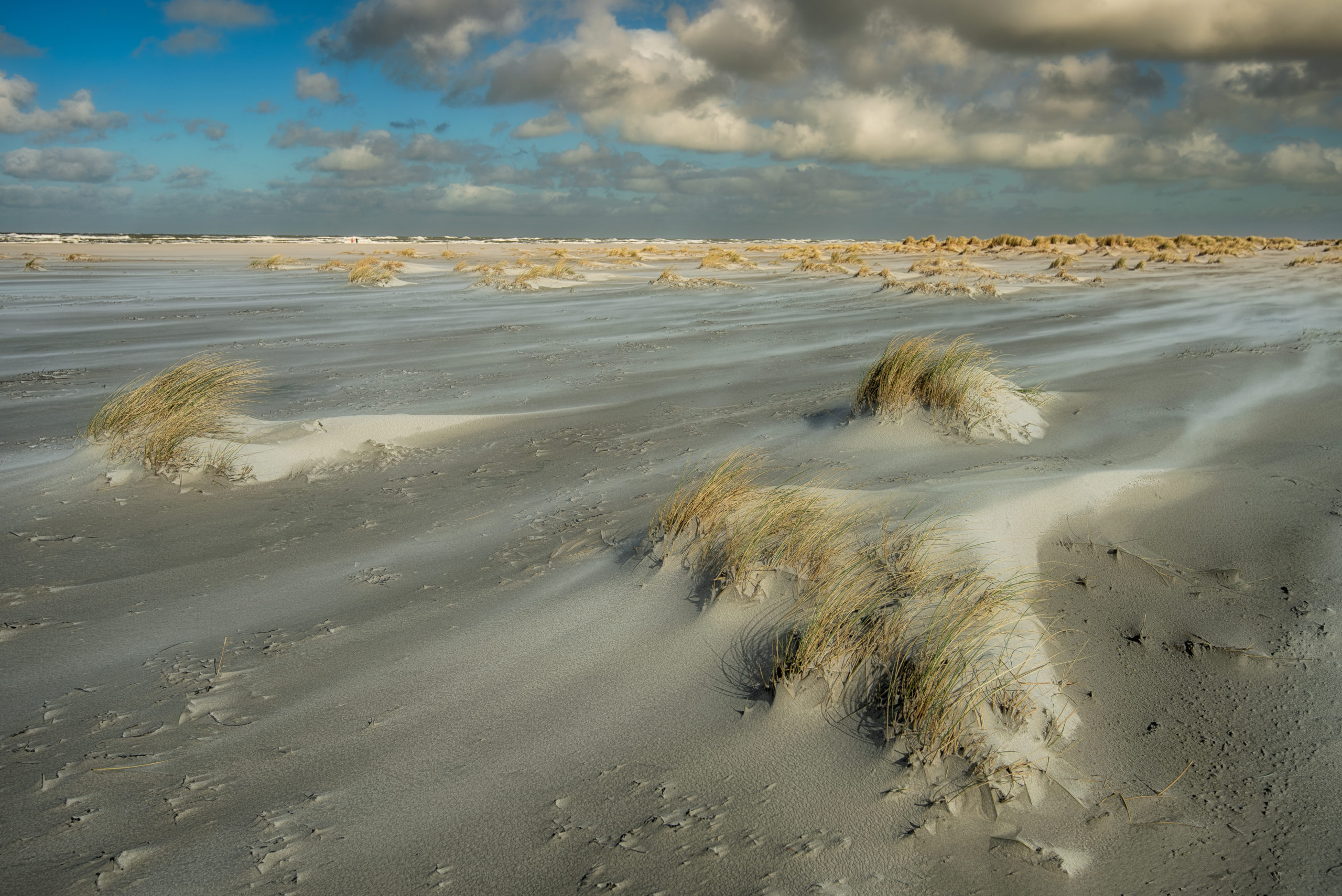 Foto van de Maand augustus