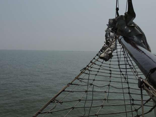 Vogelexcursie naar de Marker Wadden