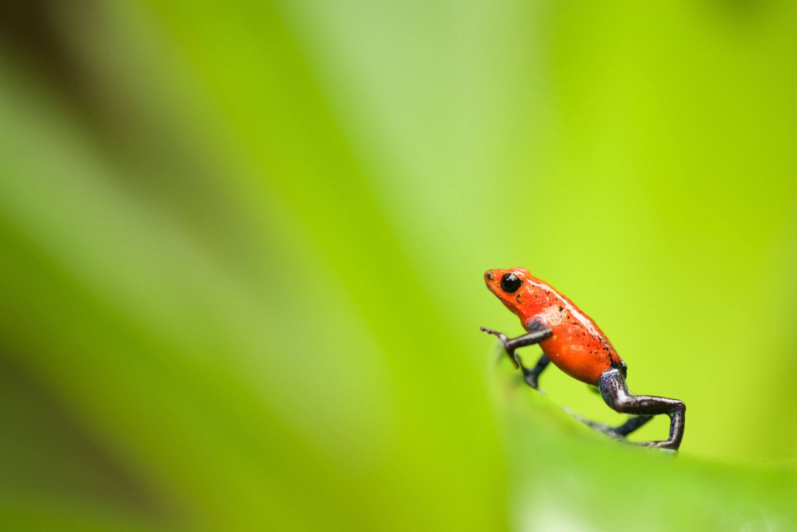 Natuurfotowedstrijd