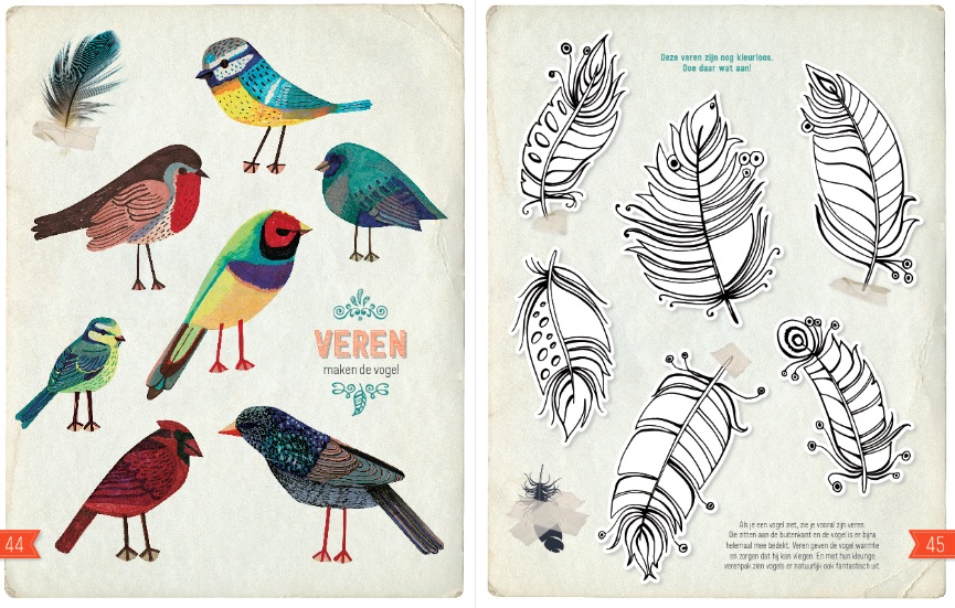 Doe-boek Vogels