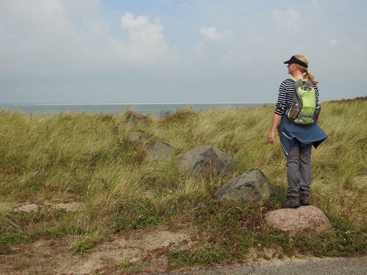 Helderse Duinen