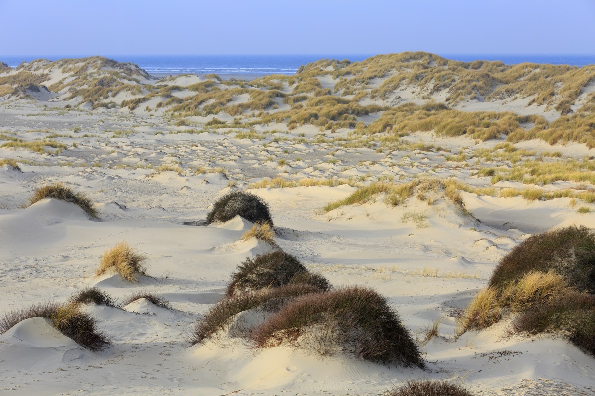 Terschelling