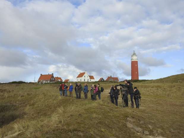 Roots vogelsafari op Texel