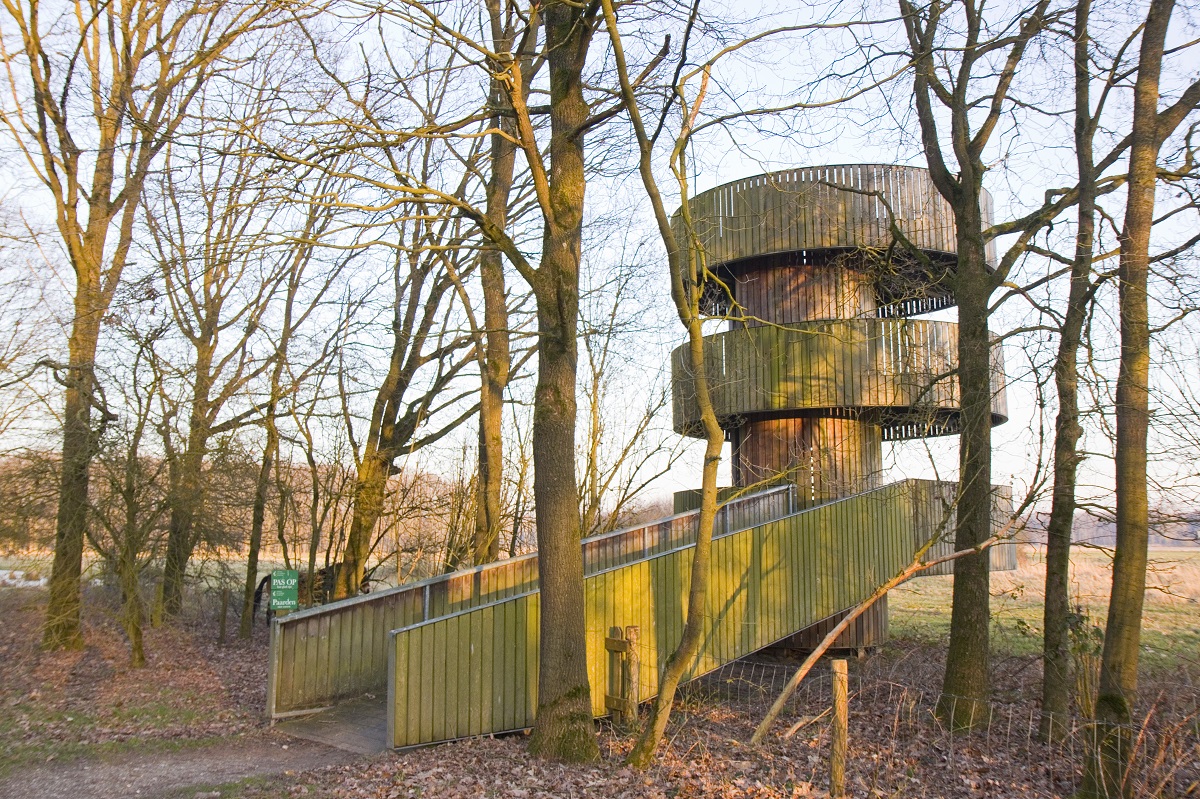 de wildtoren