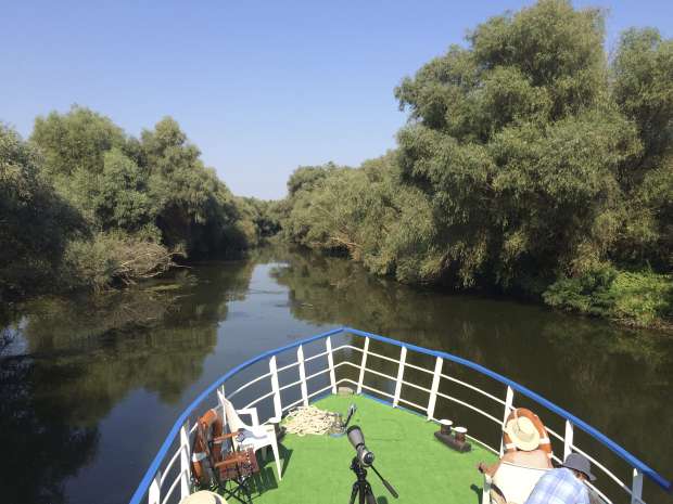 Roots vogelreis naar de Donaudelta