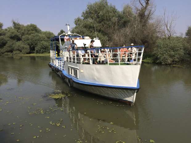 Vogels kijken op de Donau