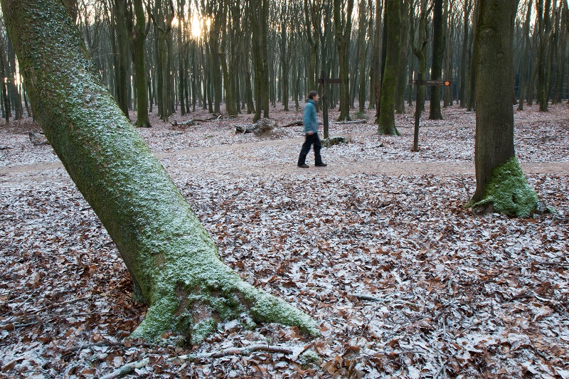 fiets en wandelbeurs