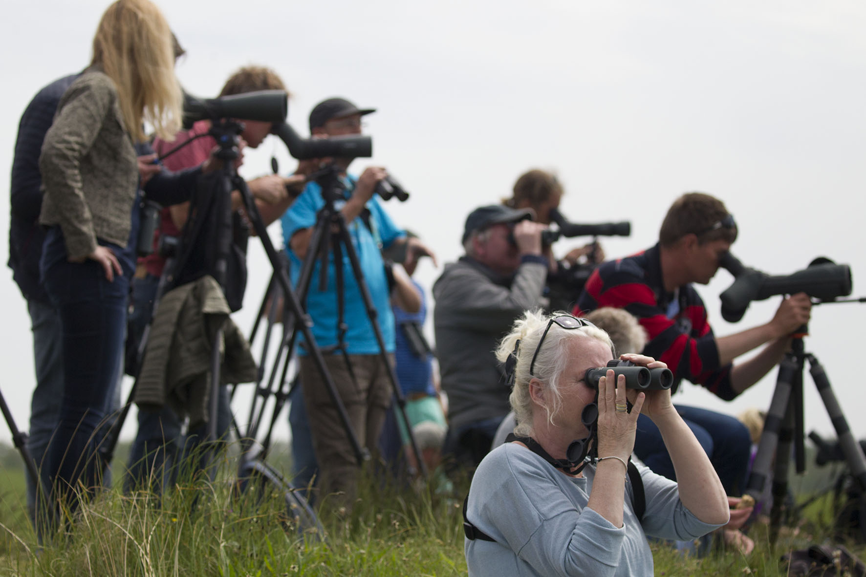 Texel Big Day 2019