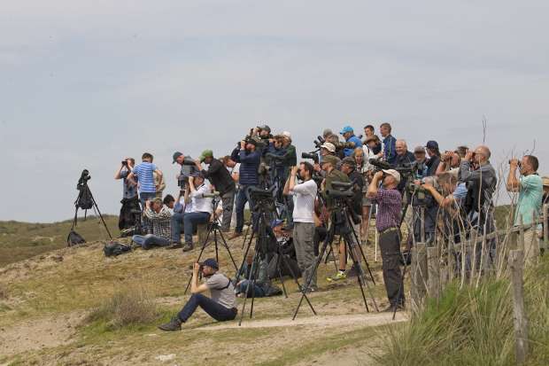 Wadden Vogelfestival op Texel