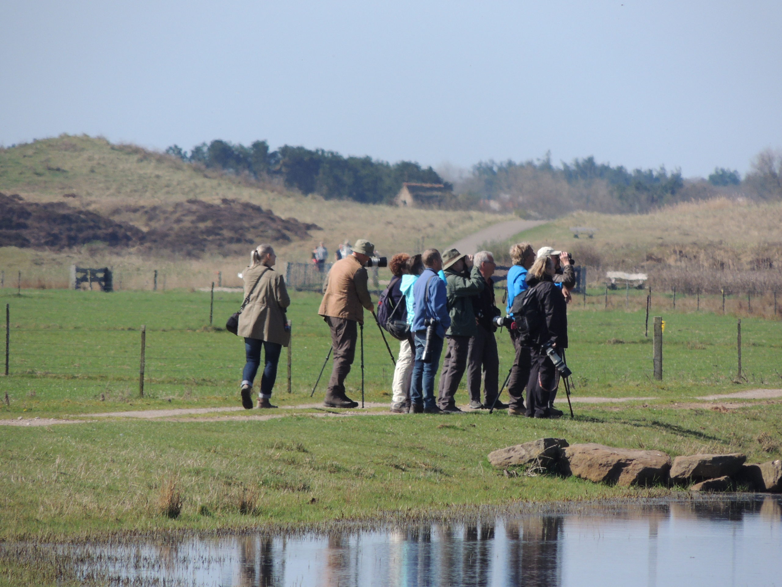 Laatste kans: Roots vogelsafari op Texel