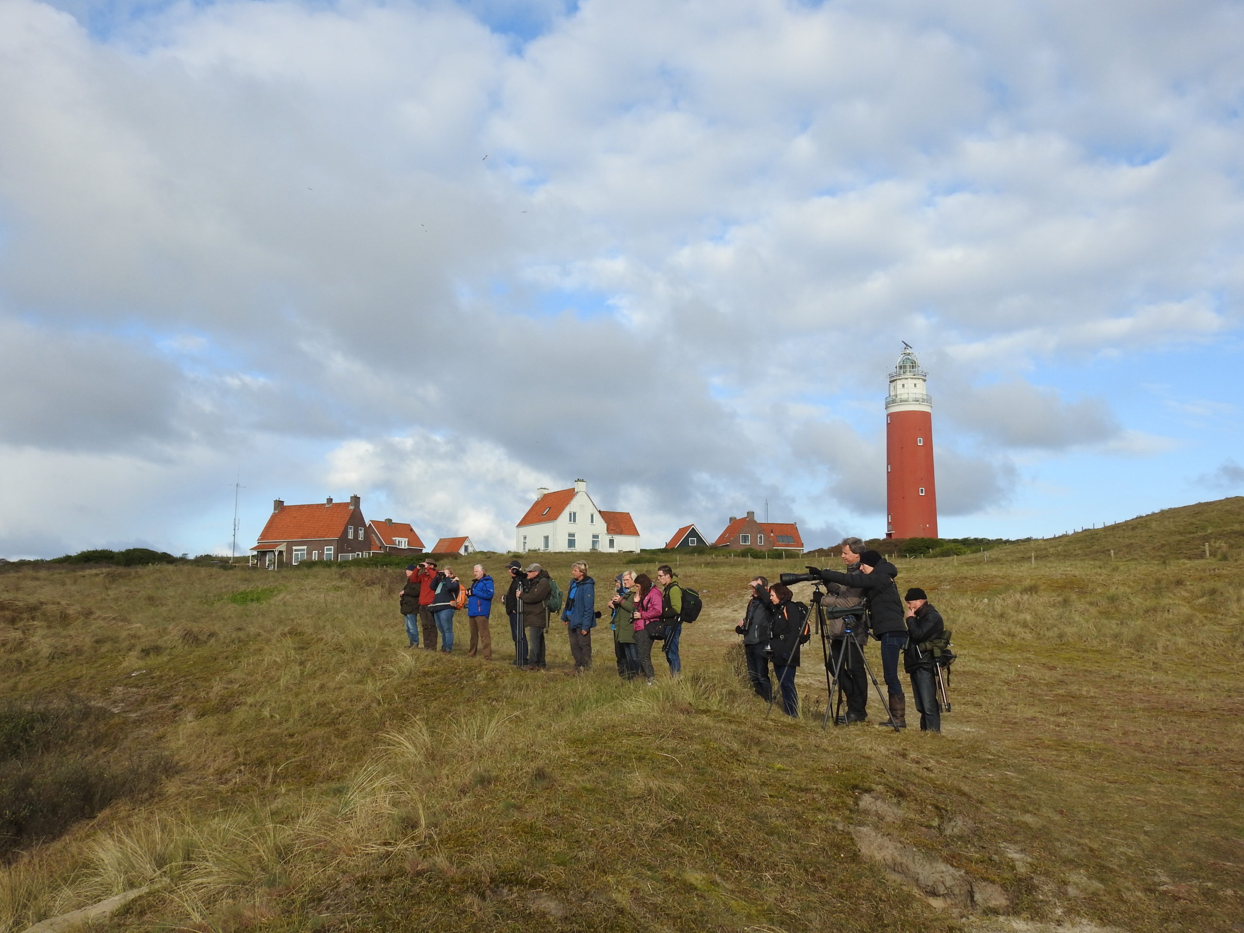 Texel