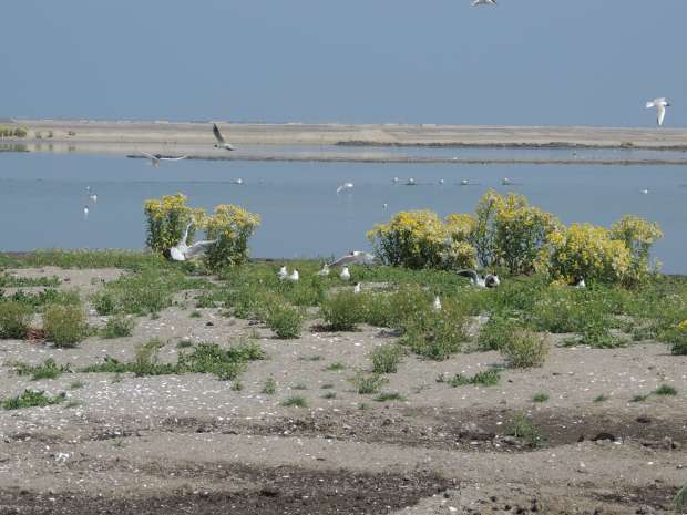 Marker Wadden geopend