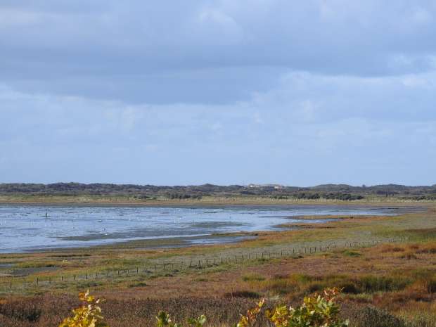 Vogelkijkweekend op Vlieland