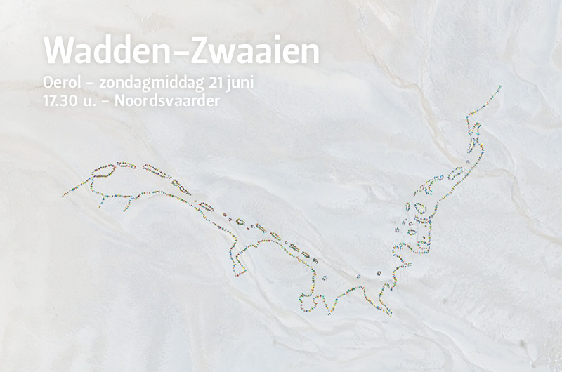 Wadden-Zwaaien-titelpag1