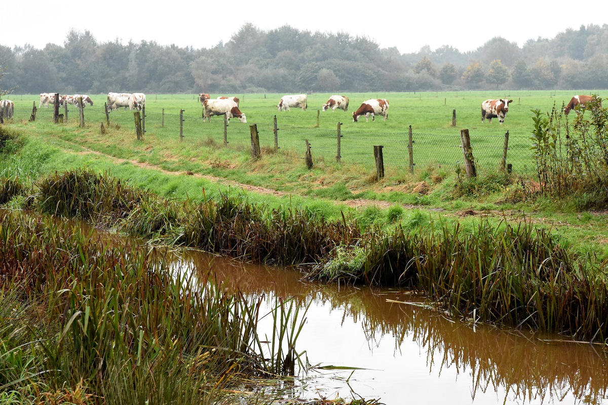 wagenbroeksloopje