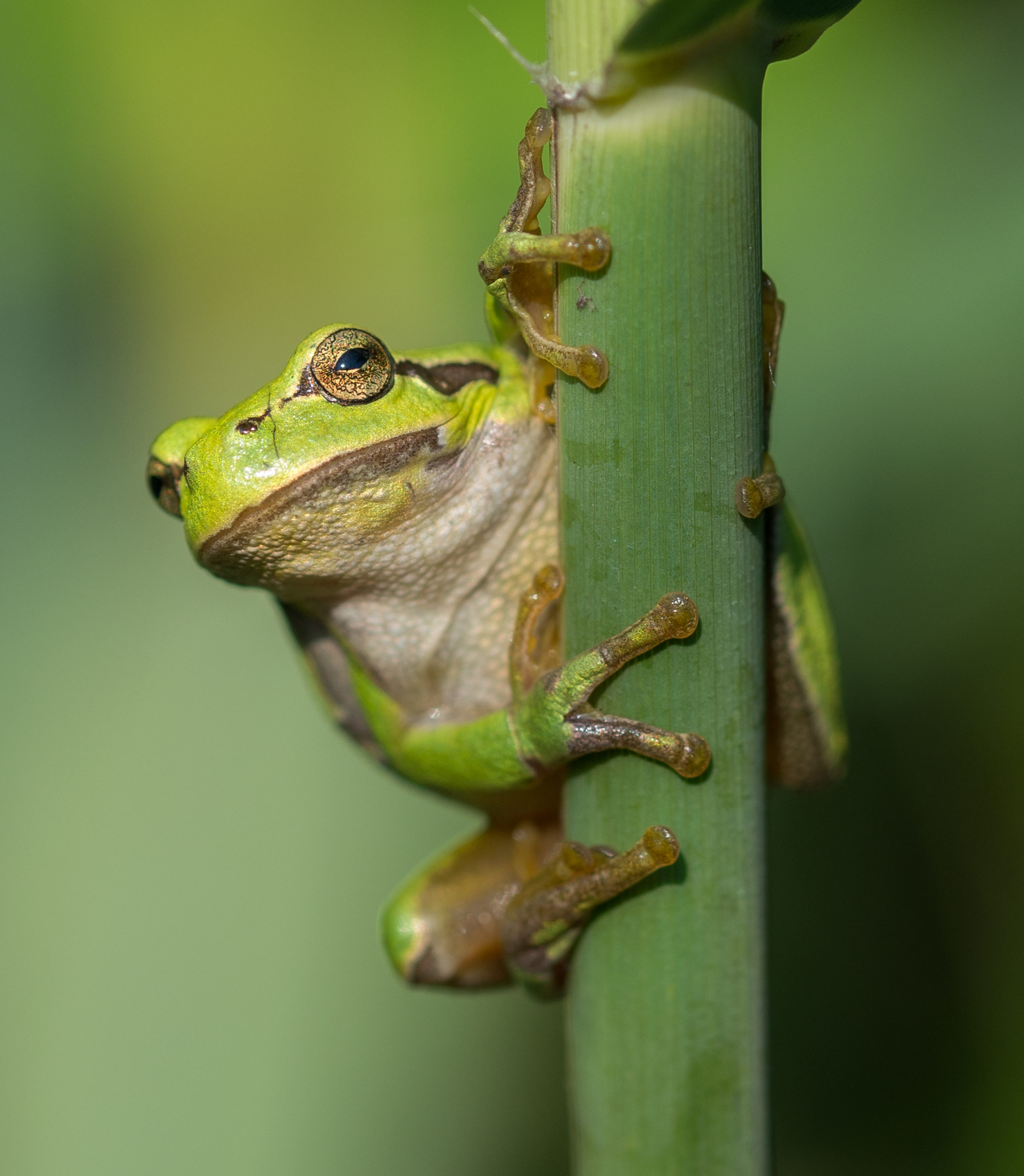 Foto's van de Week