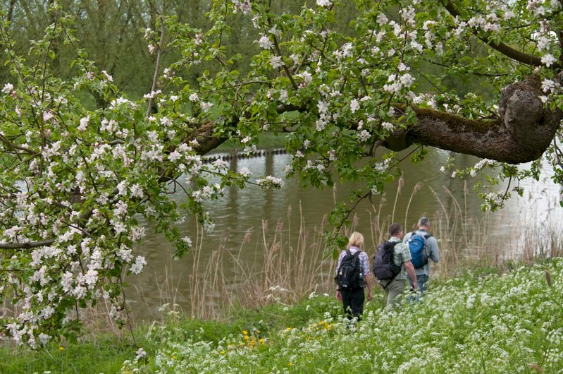 bloesemwandeling