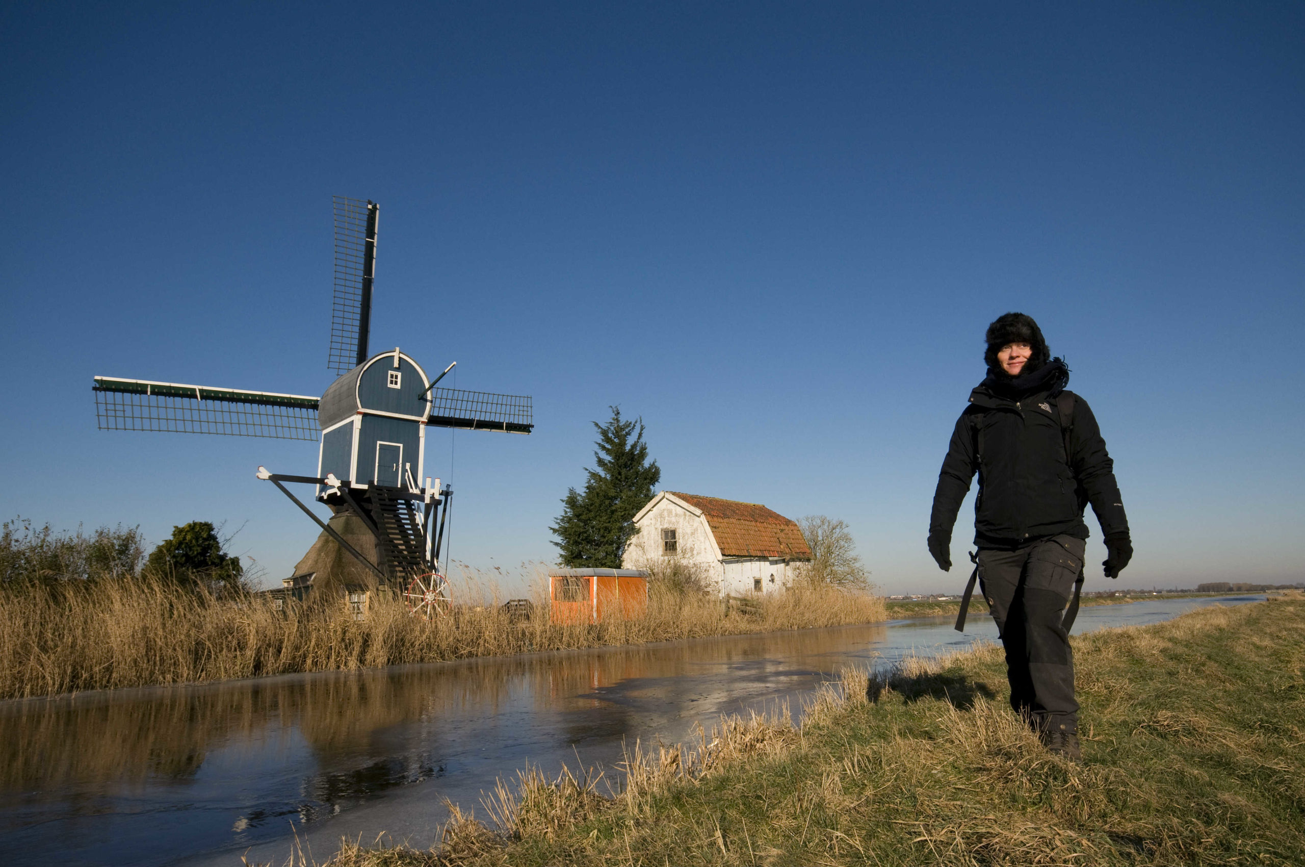 https://www.rootsmagazine.nl/vogels/miauwende-buizerds-2/