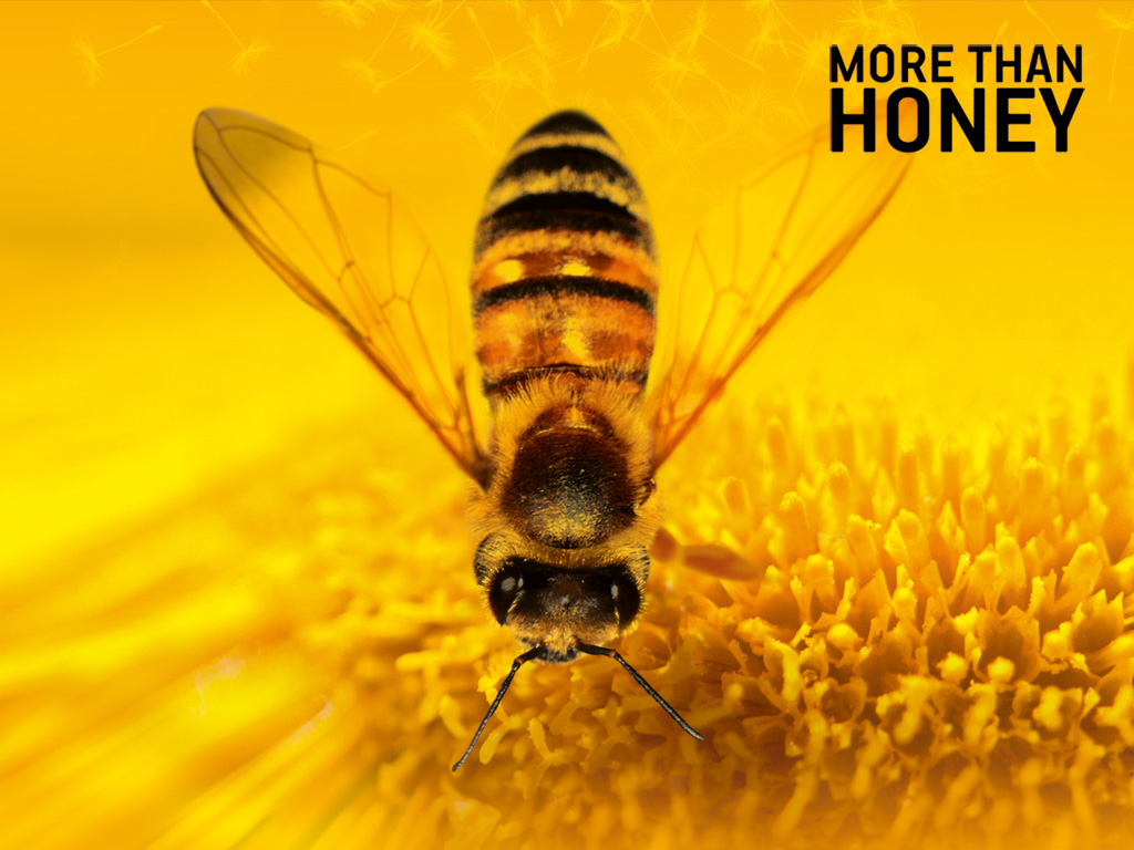 More-than-honey