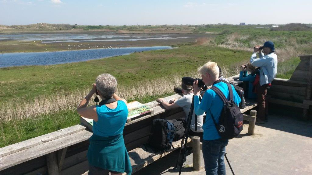 Speuren naar de zwarte wouw