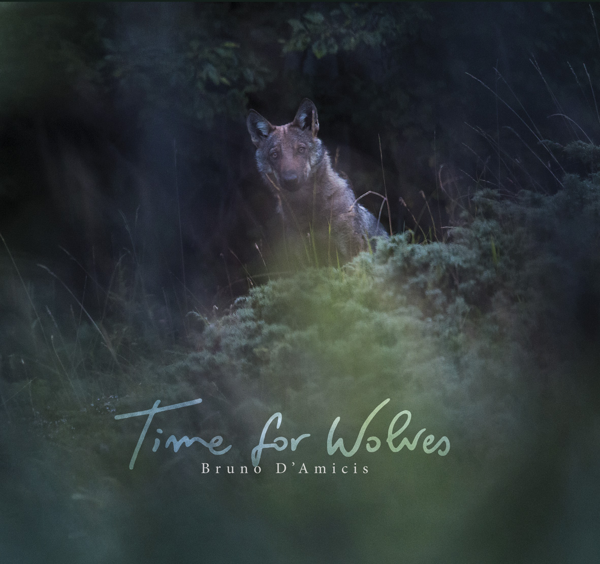 timeforwolves_260x236_cover july12th_A