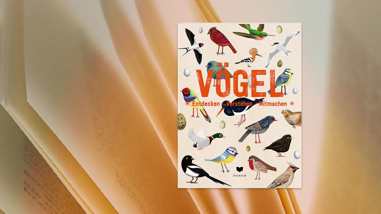 vogel-doeboek