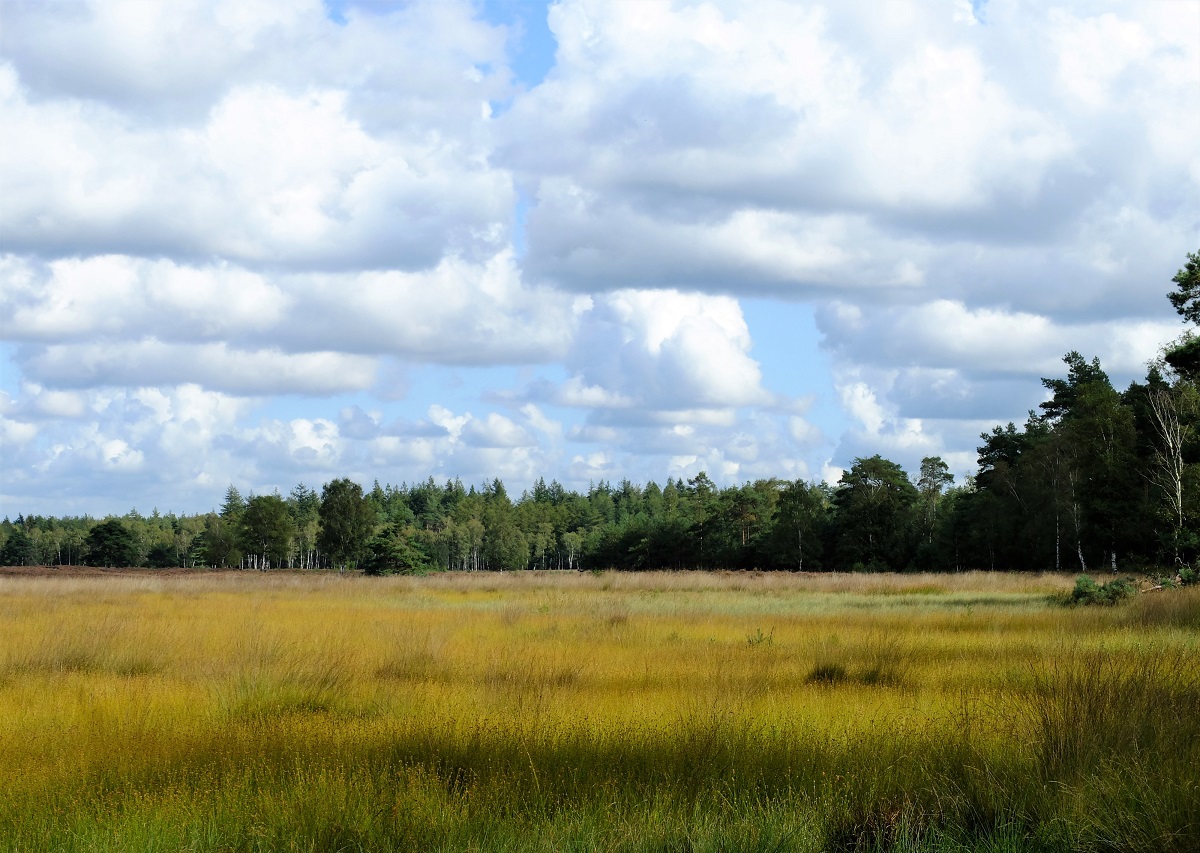 wolken