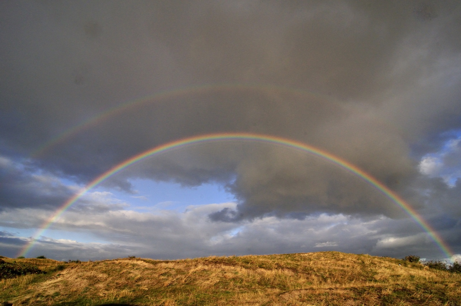 regenboog