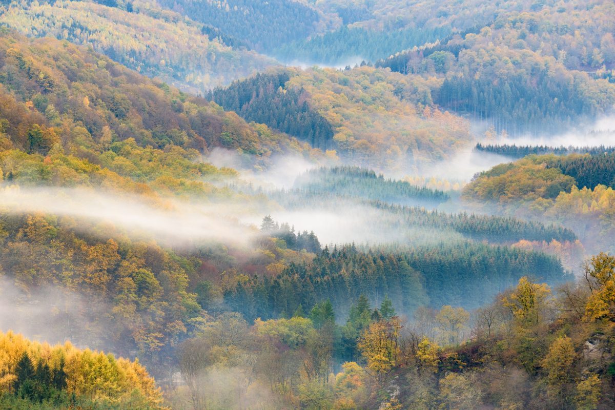 fotoplekken België