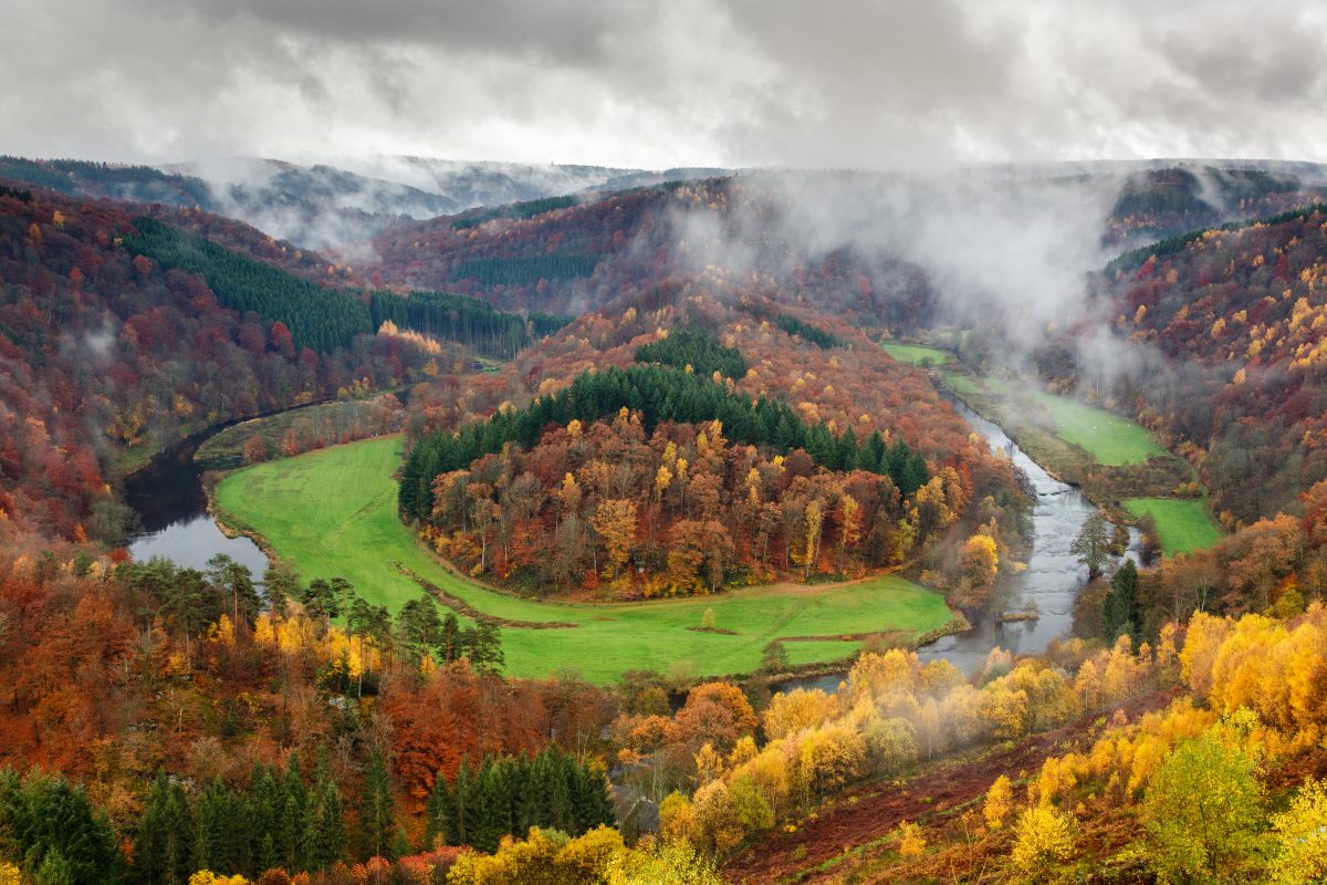 fotoplekken België