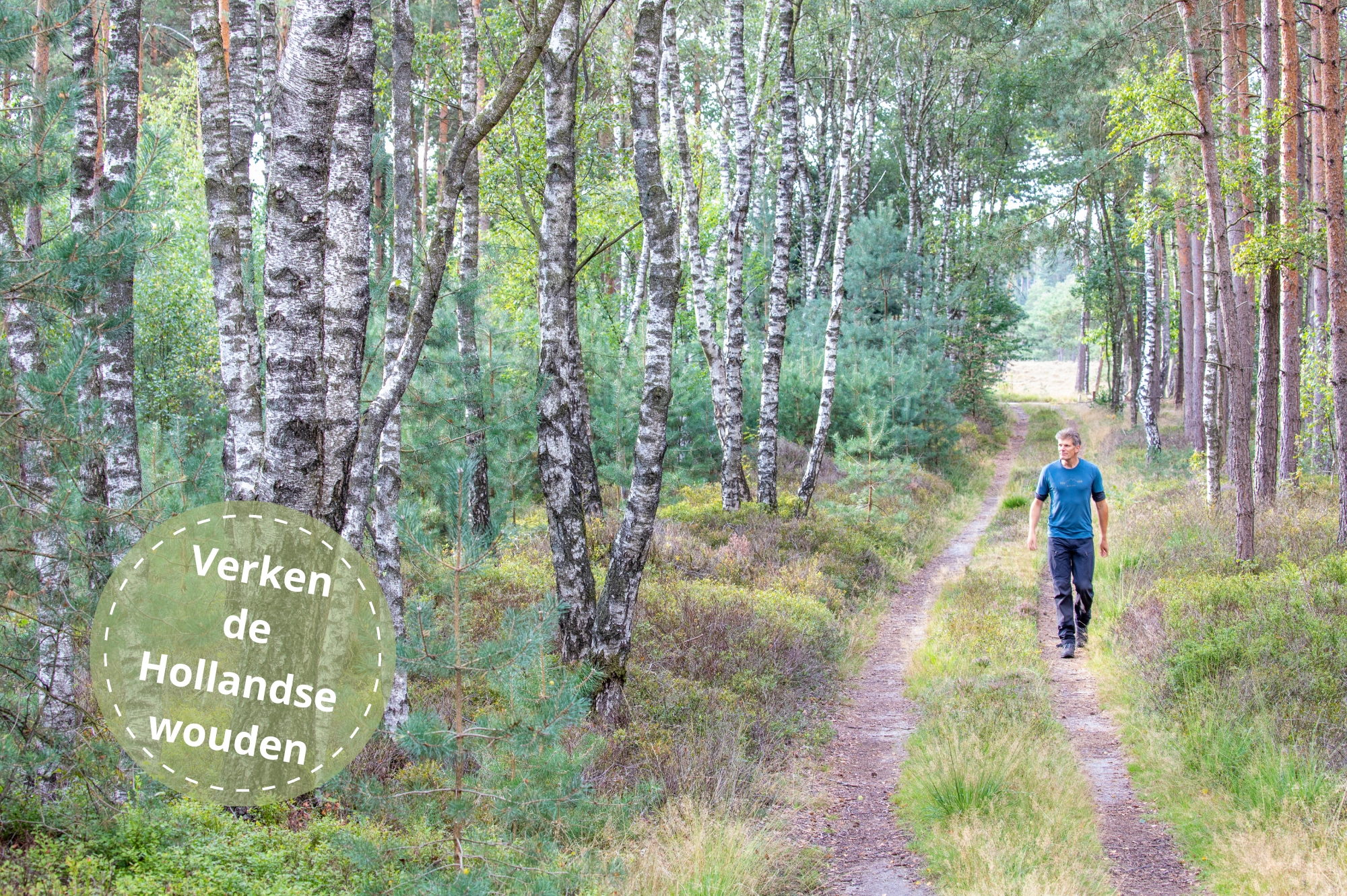 wandelaar in bos