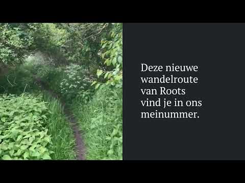 Sfeerbeelden wandelroute Noordsche Veld & Peestermaden