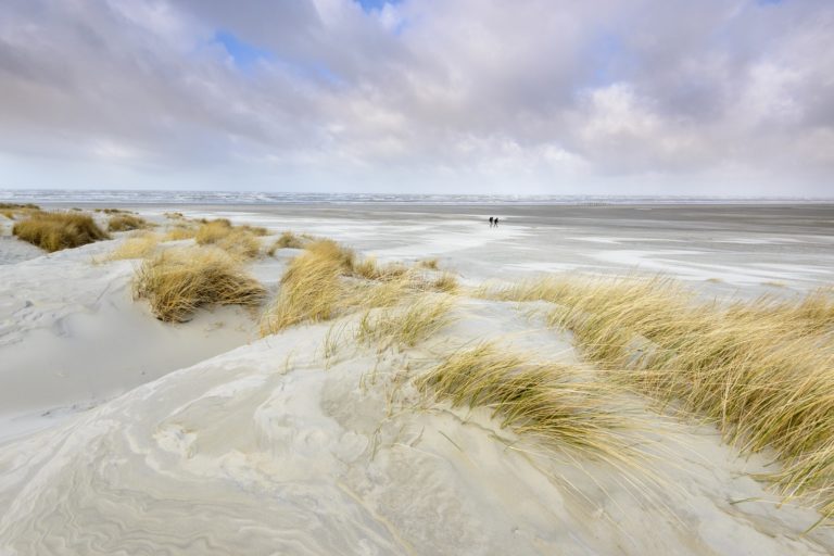 schiermonnikoog