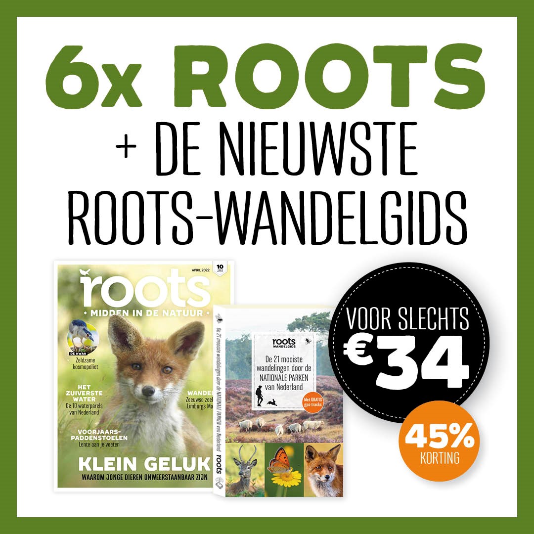 roots en wandelgids