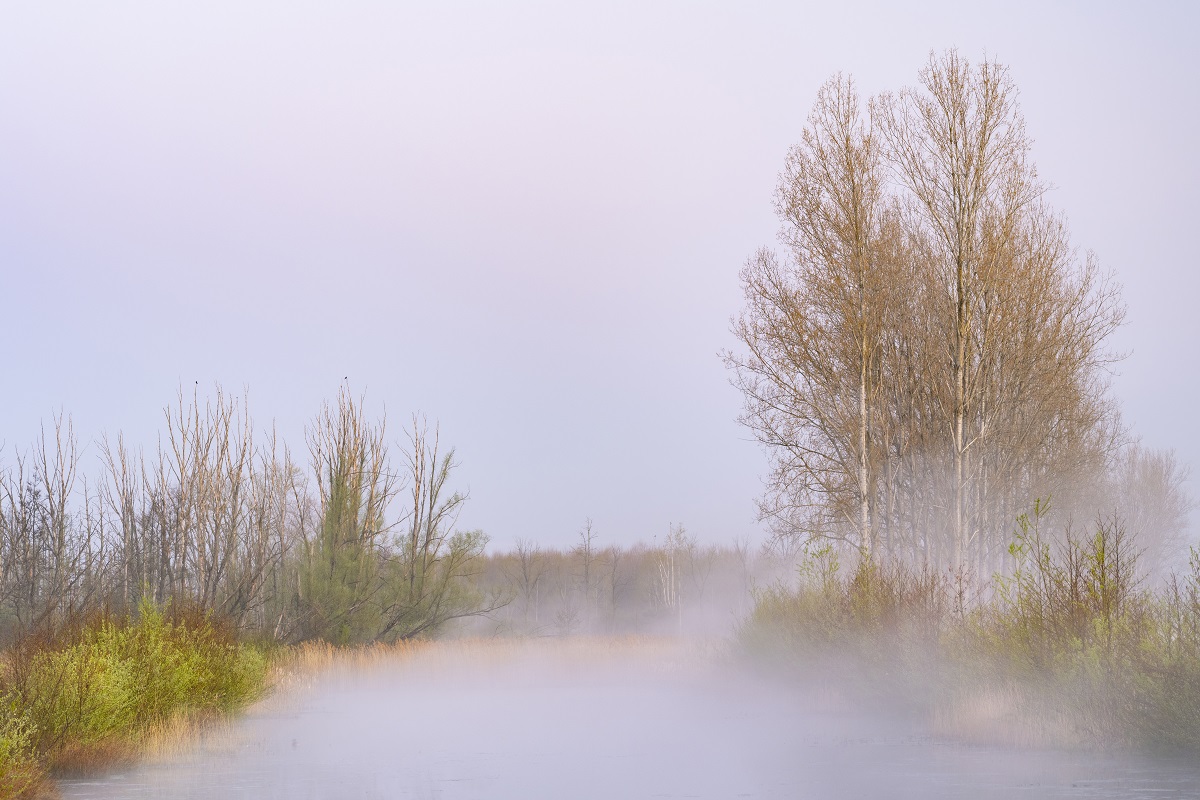 Maaspark Ooijen-Wanssum