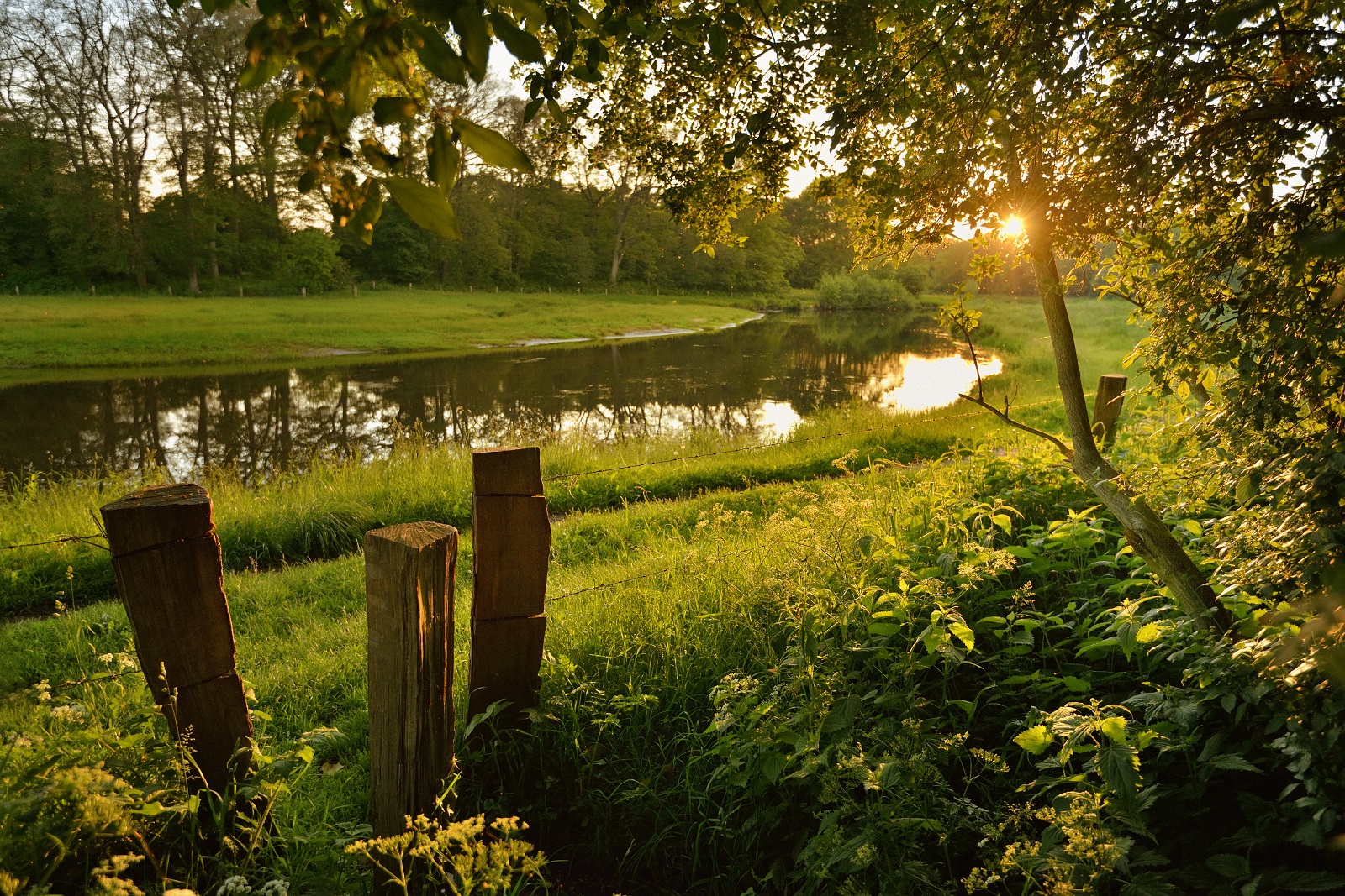 Zomerwandeling