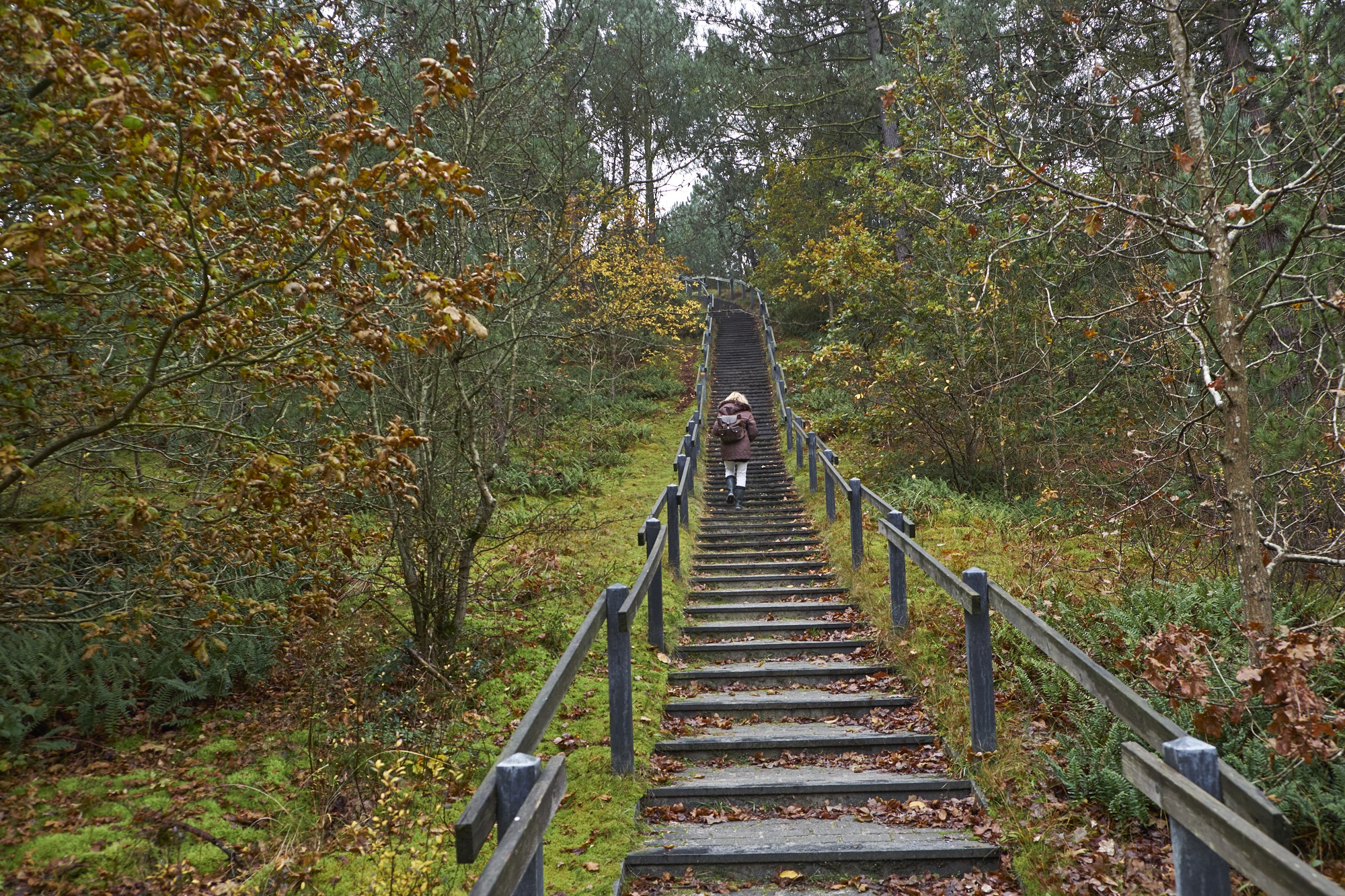 warming-up wandelen