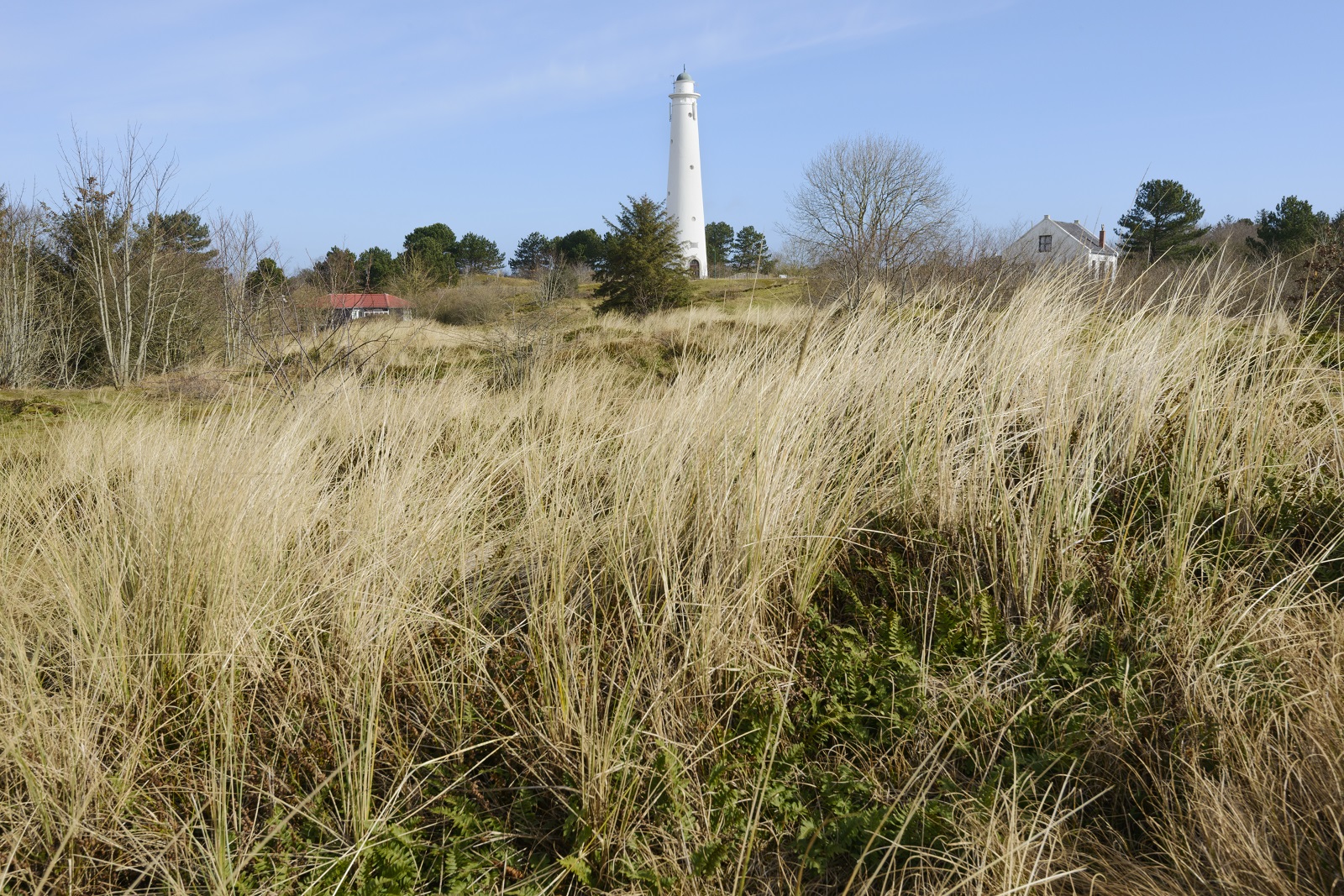 schiermonnikoog witte vuurtoren