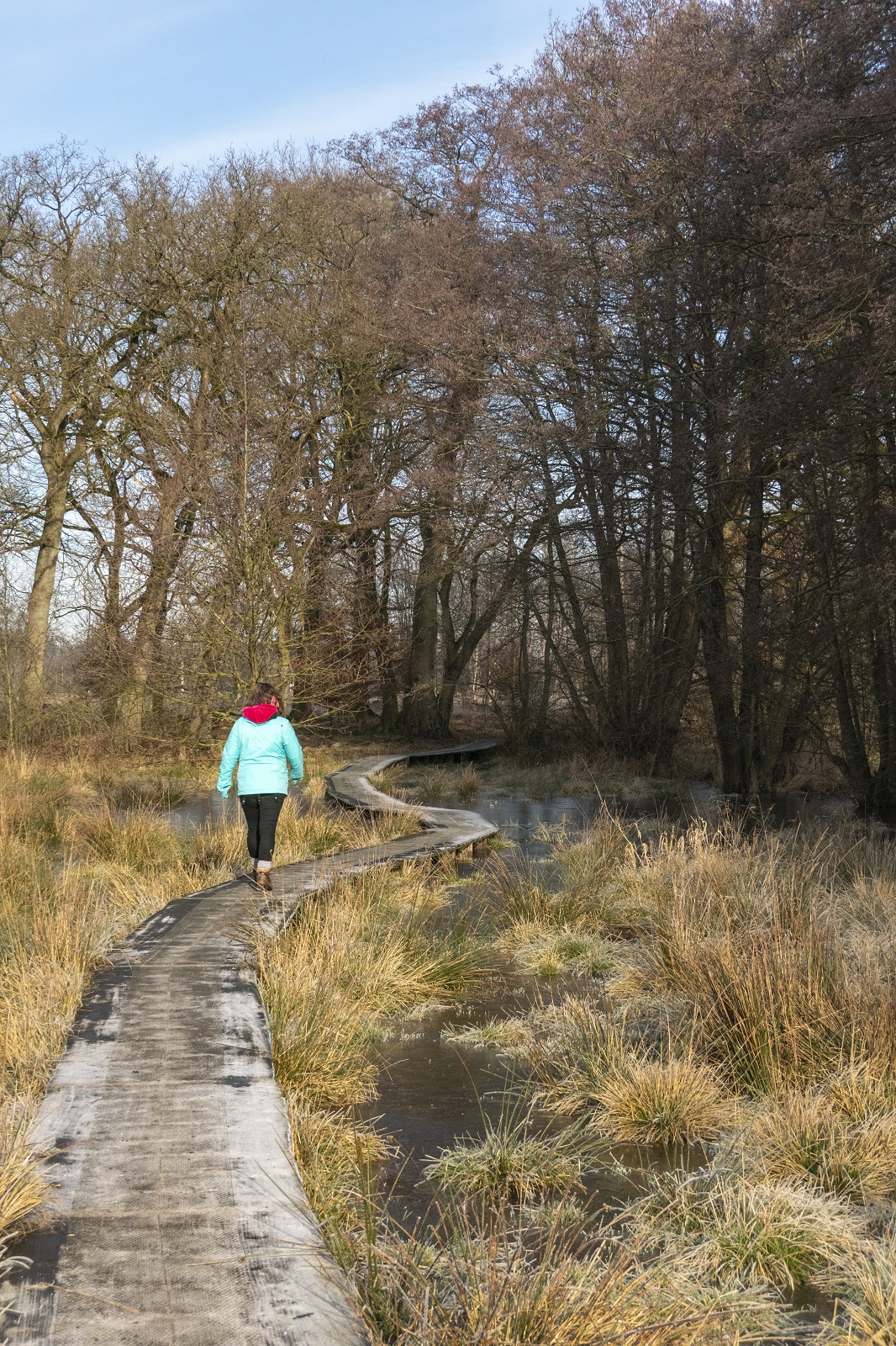 wolvenspoor wandelaar vlonderpad