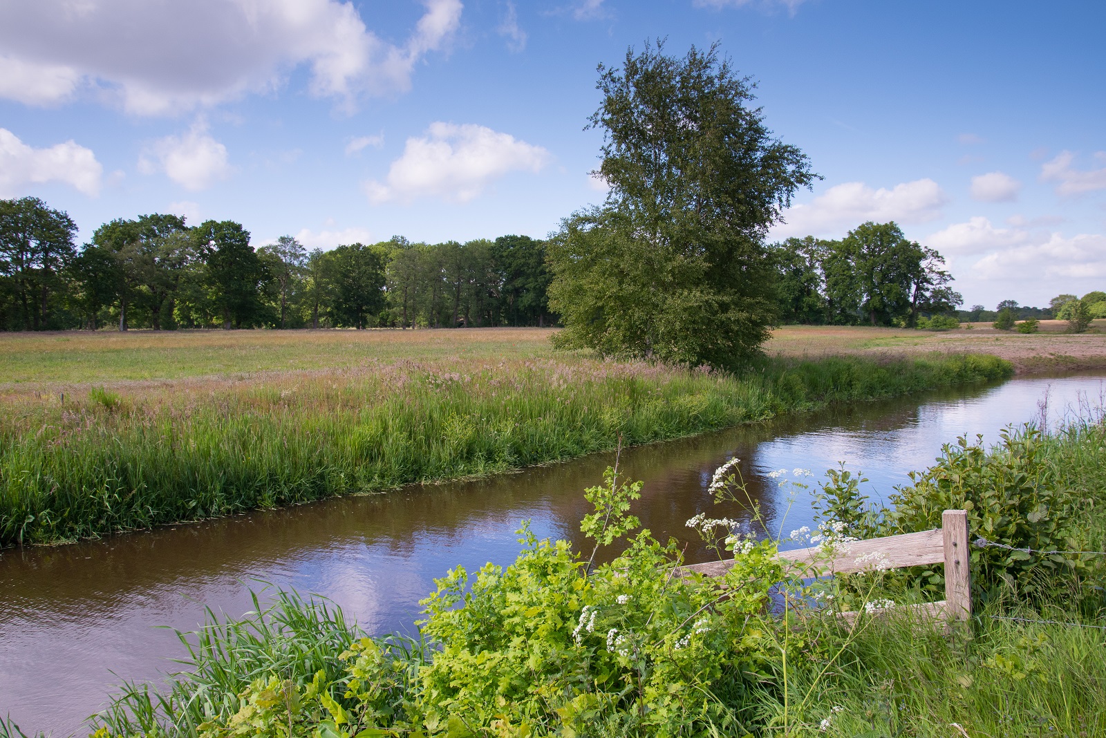 Westerwolde