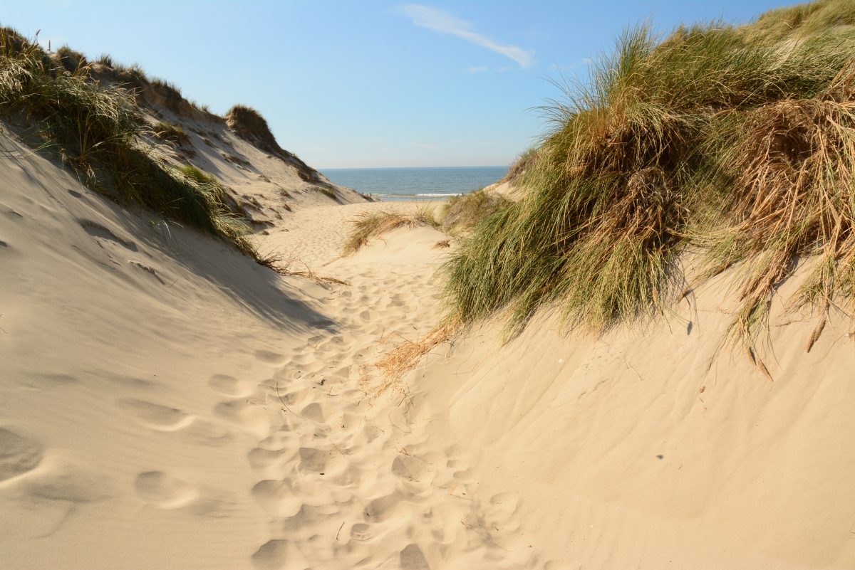 groen strand